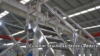 Durable Stainless Steel Inclined Ladder Custom Solutions